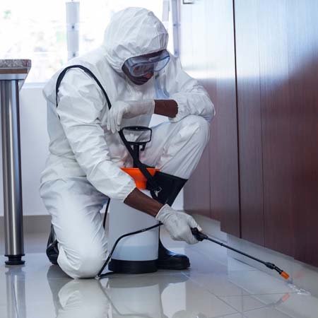 Commercial Pest Control