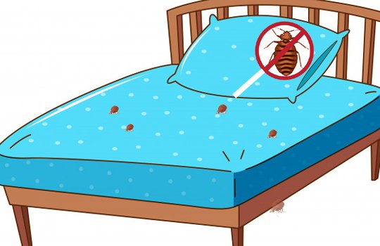 Cockroach Control