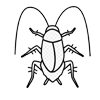 Flies Control Service Providers