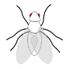 Effective Pest Control Service Providers For Residential & Commercial Effective Pest Control Service Providers For Residential & Commercial