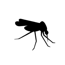 Corporate Pest Control Services