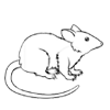 Get Pest Control Service Providers Near Me
