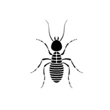 Commercial Pest Control Services