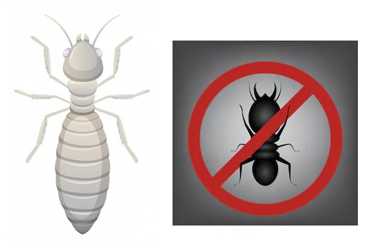 Residential Pest Control